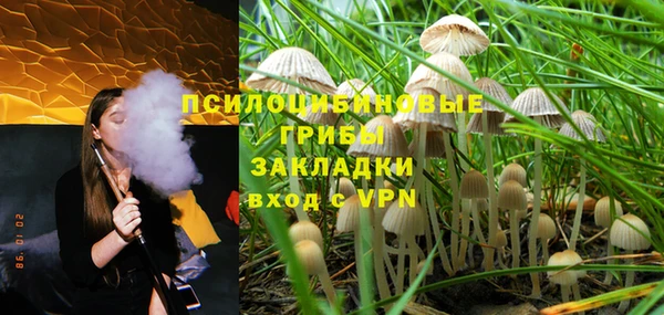 гашик Кинешма