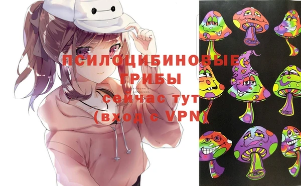 гашик Кинешма